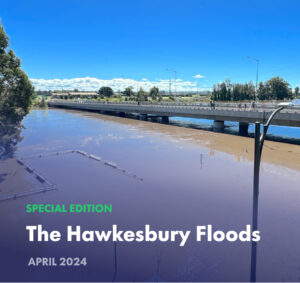 Flood Newsletter Banner